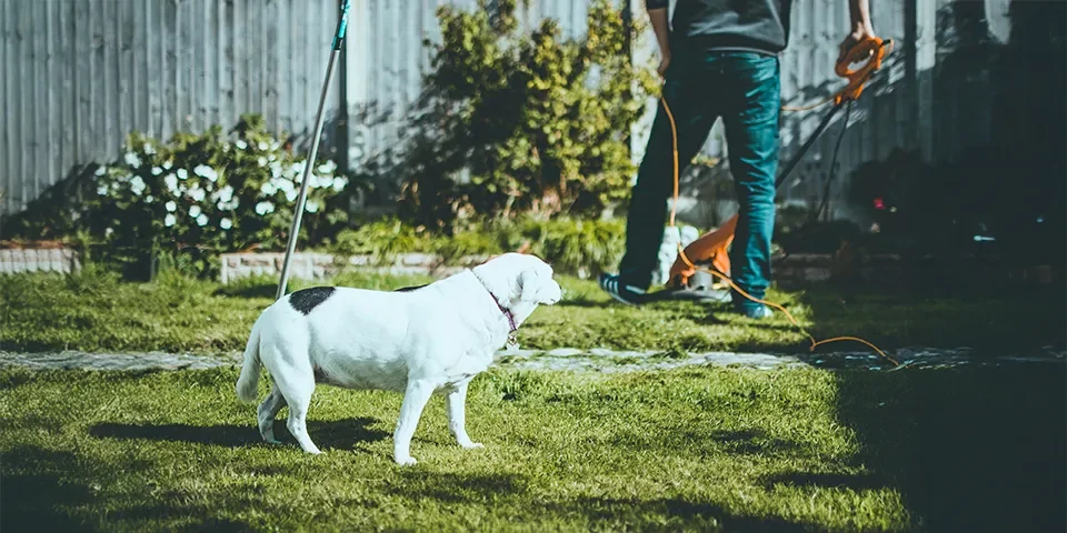 gardening